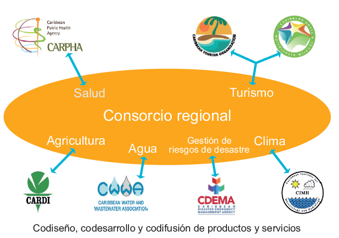 Consorcio de socios