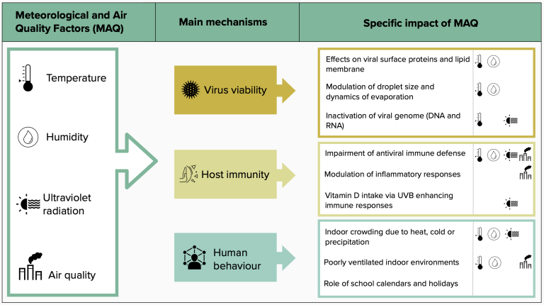 Examples of proposed mechanisms through which Meteorological and Air Quality 