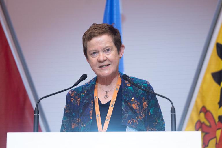 a woman standing at a podium in front of flags.