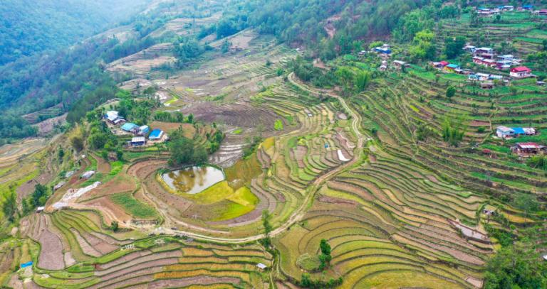 Aerial view of terraced rice fields in nepal.