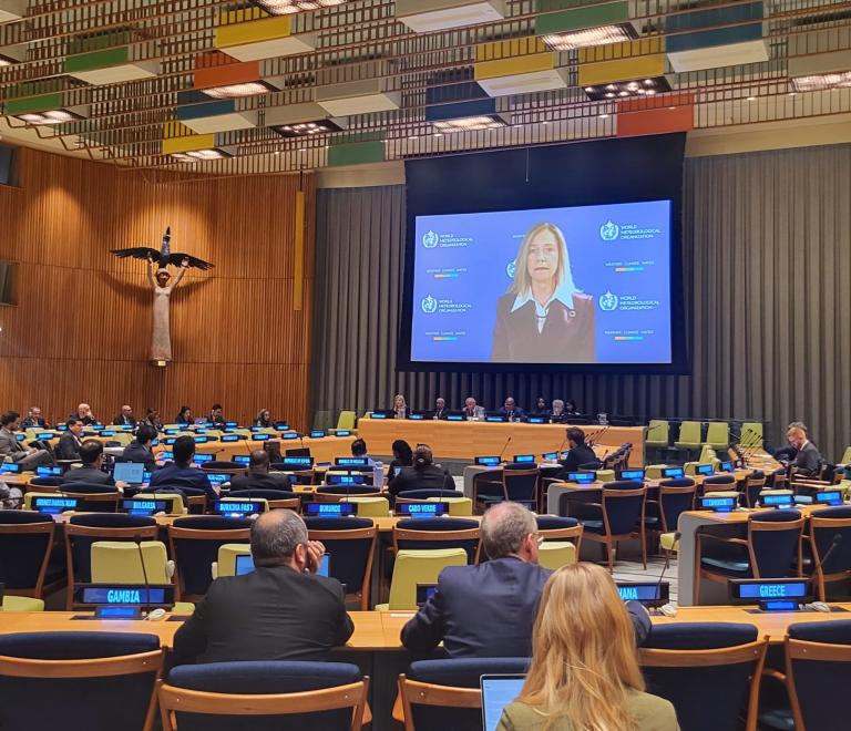 A conference at the united nations with delegates seated, listening to a female speaker on a large screen.