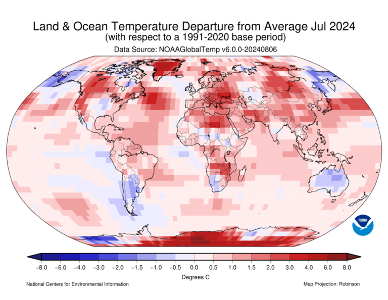 Map showing global temperature changes in July 2024 compared to the 1991-2020 average. The scale ranges from -8.0 to 8.0 degrees Celsius, with warmer areas in red and cooler areas in blue. Source: NOAA.