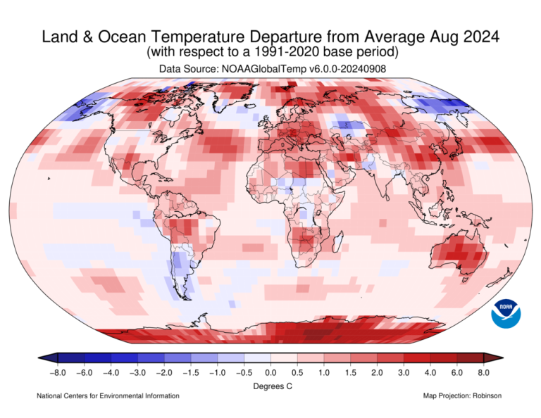 World map displaying land and ocean temperature departures from the average in August 2024, based on a 1991-2020 baseline. Areas in red indicate warmer-than-average temperatures, blue indicates cooler.