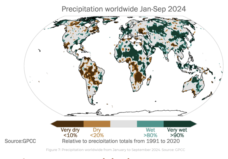 World map showing precipitation levels from January to September 2024. Brown areas indicate dry regions, and green areas show wet regions compared to 1991-2020 averages. Source: GPCC.