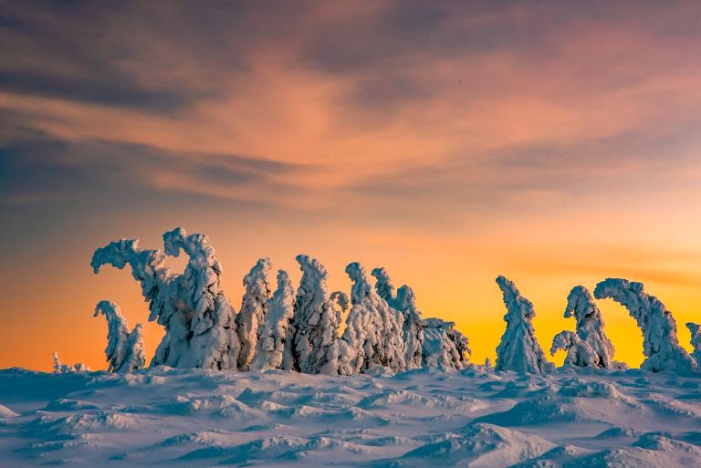 Snow-covered trees with sculptural shapes stand against a vibrant sunset sky, creating a winter landscape with shades of orange and pink.