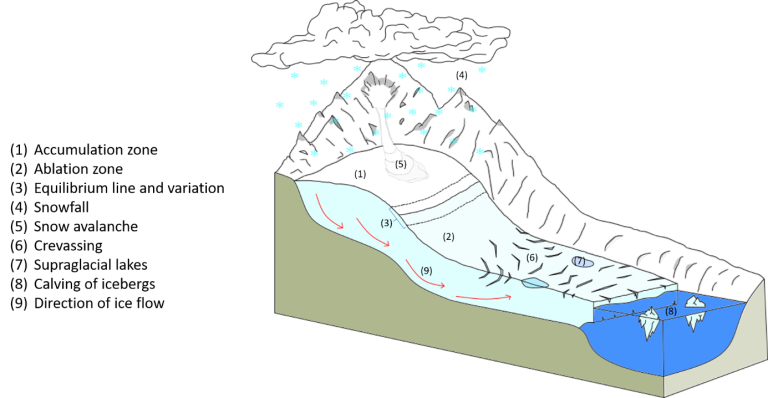 Diagram showing mountain glacier flow with snow accumulation, ice formation, and calving into a body of water. Includes arrows indicating movement and various labeled sections.