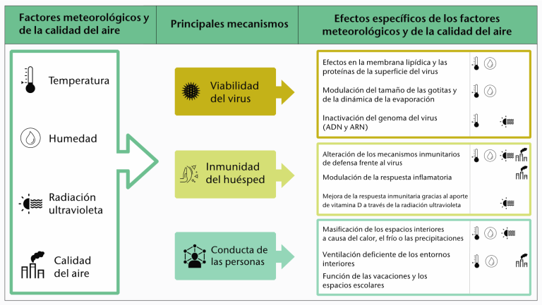 Ejemplos de mecanismos propuestos a través de los cuales los factores meteorológicos 