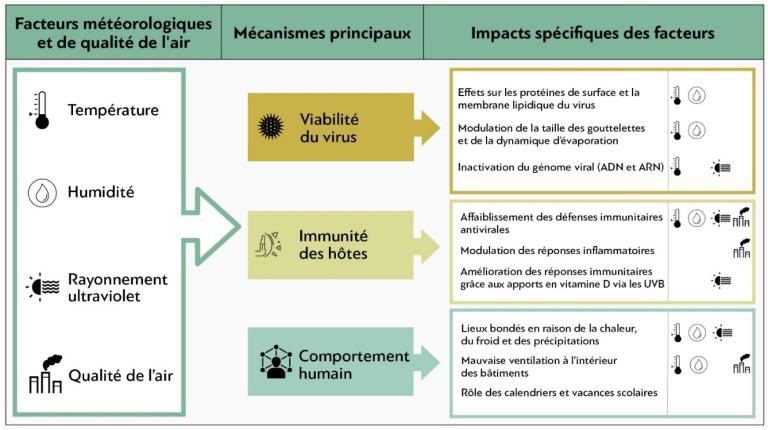 Exemples de mécanismes 