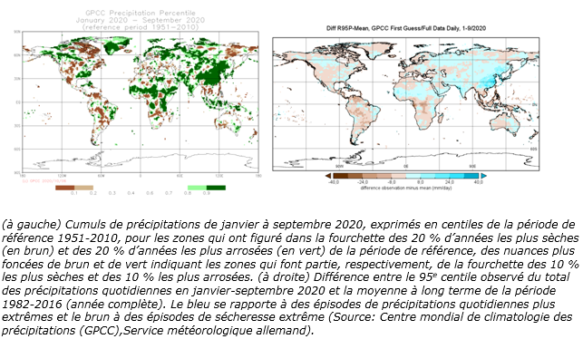 Cumuls de précipitations 12-20