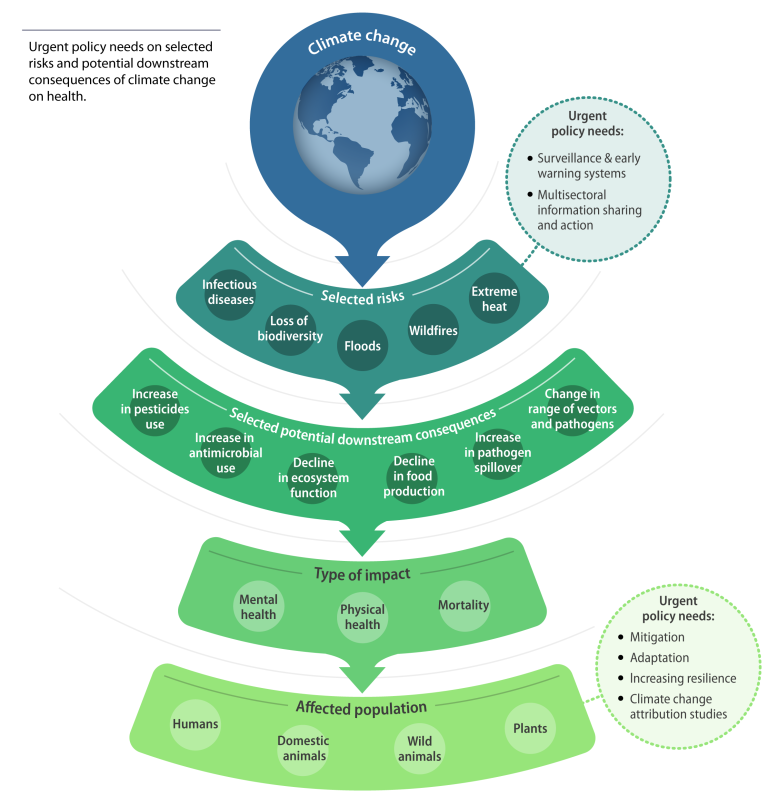Ten Essential Climate Science Insights for 2022 presented at COP27