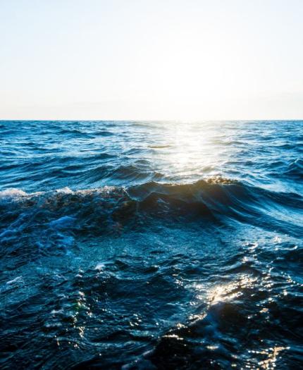 Sunlight reflecting off the wavy surface of a vast ocean under a clear sky.