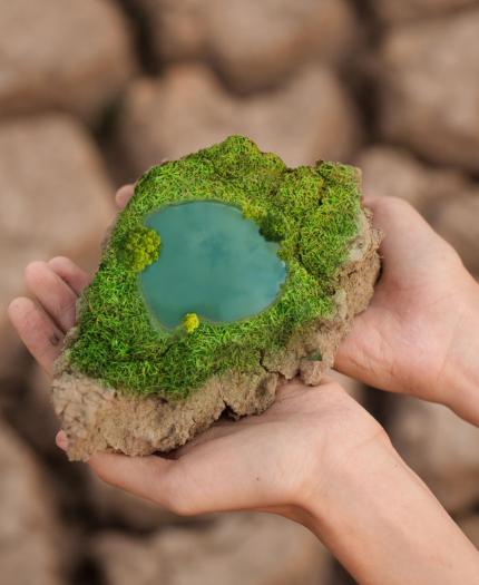 Hands holding a piece of dry cracked earth with moss and a small pool of water. Background shows more cracked earth.