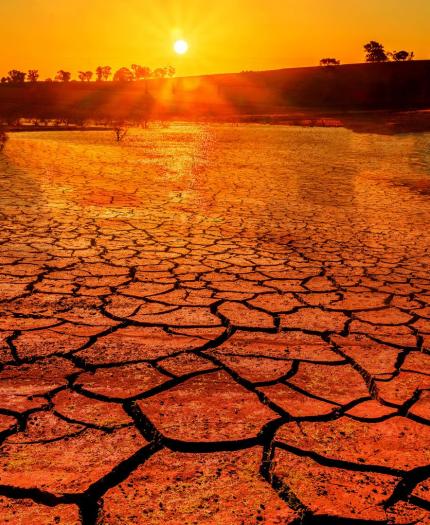 A cracked, dry earth landscape under a vibrant orange sunset, with silhouettes of distant trees along the horizon.