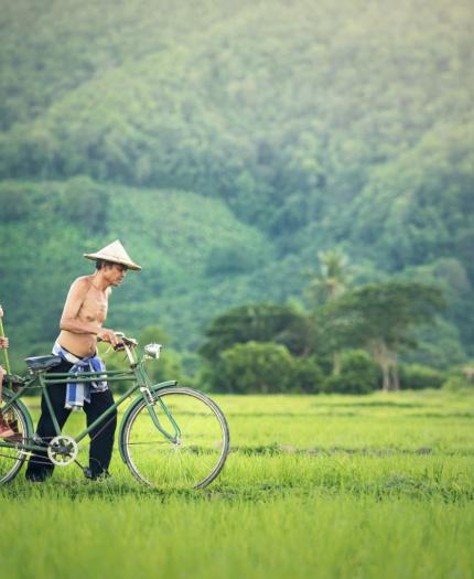 A shirtless man wearing a conical hat rides a bicycle through a lush green field, with a young boy holding a large leaf seated on the back.