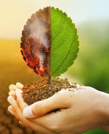 Hands holding a half-burnt, half-healthy leaf growing from soil. The background shows a contrast between dry, cracked earth and lush greenery, symbolizing environmental change.