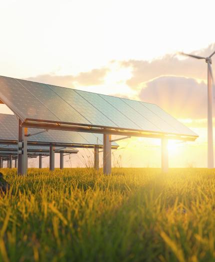 Solar panels in a grassy field with wind turbines in the background during sunset.